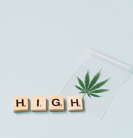 Семена конопли Cannalope Haze regular от DNA Genetics