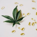 Семена марихуаны в Украине: правовой статус и особенности использования image_132.jpg