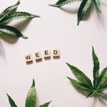 Семена конопли Auto White Widow x AK feminised от Ganja Seeds image_134.jpg