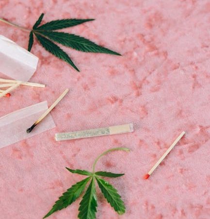 Семена конопли как питательный продукт и его использование в кулинарии