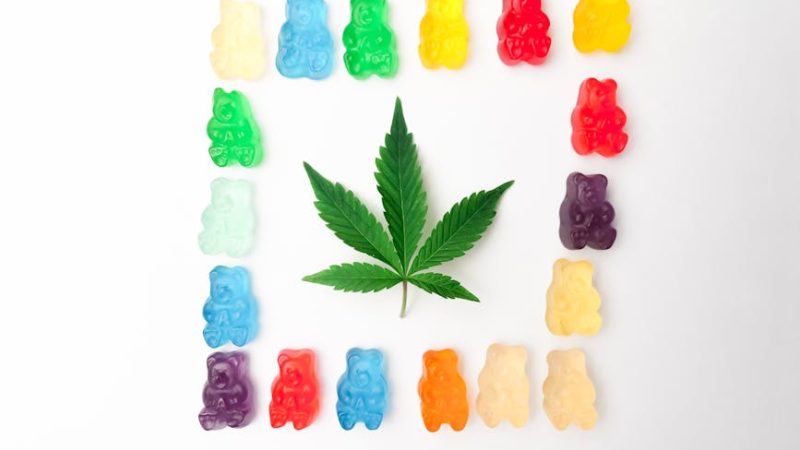 Преимущества и выбор оригинальных семян конопли