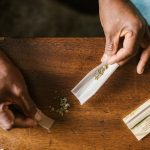 Выращивание и покупка семян конопли в России: законодательство и рекомендации image_291.jpg