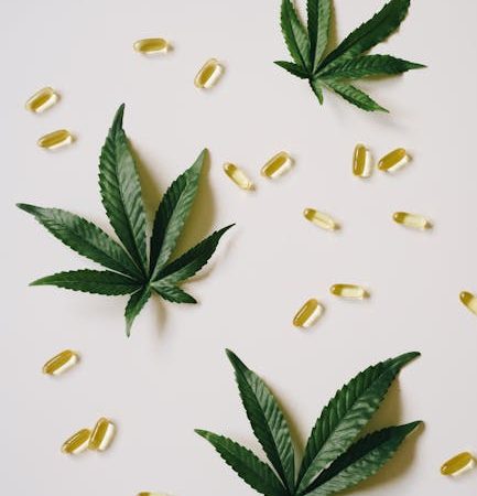 Преимущества и особенности семян конопли для масла