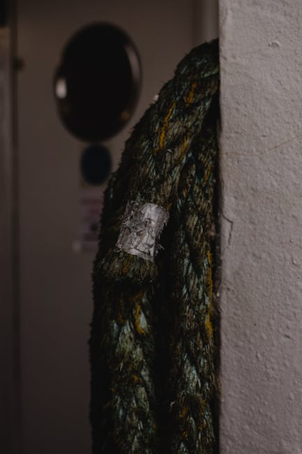 Корма с семенами конопли для попугаев польза и применение