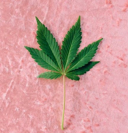 Семена конопли Sapphire Scout feminised от Humboldt Seeds