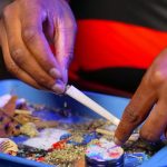 Проращивание семян конопли подробная инструкция и советы image_356.jpg