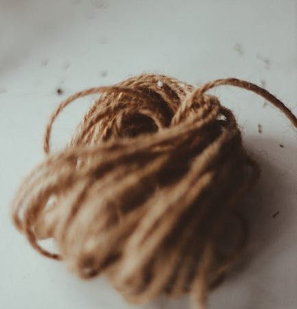 Сорт конопли Alexandriya regular от Ganja Seeds