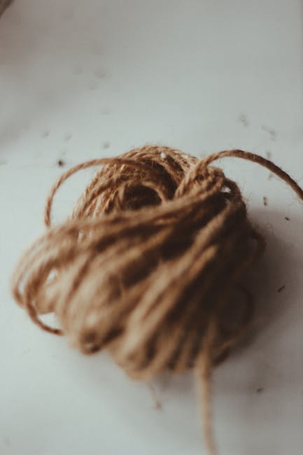 Сорт конопли Alexandriya regular от Ganja Seeds