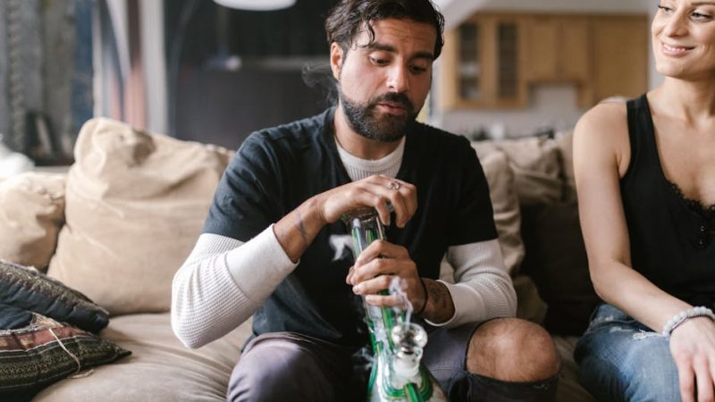 Цена семени конопли и факторы влияющие на нее