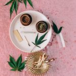 Почему не всходят семена марихуаны и как повысить шансы на прорастание image_391.jpg