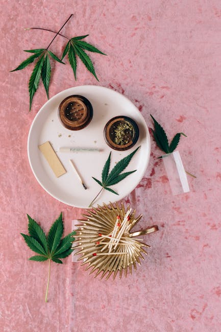 Почему не всходят семена марихуаны и как повысить шансы на прорастание