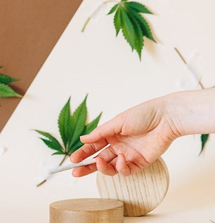 Выращивание конопли из семян сроки и условия для успешной посадки