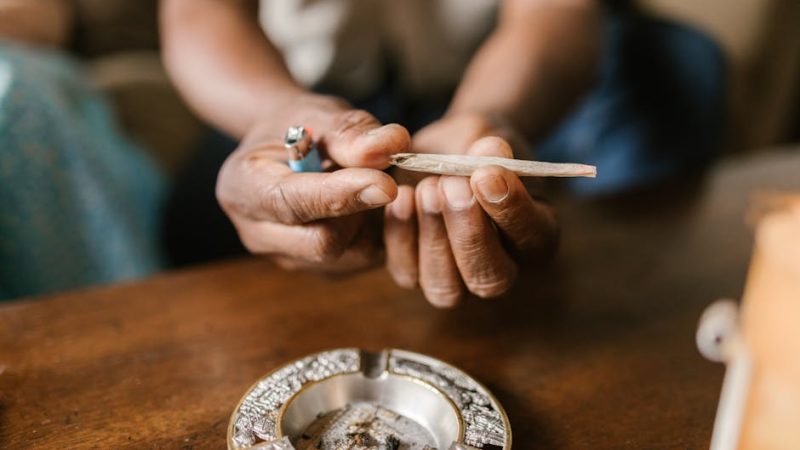 Вкусы и применение семян конопли