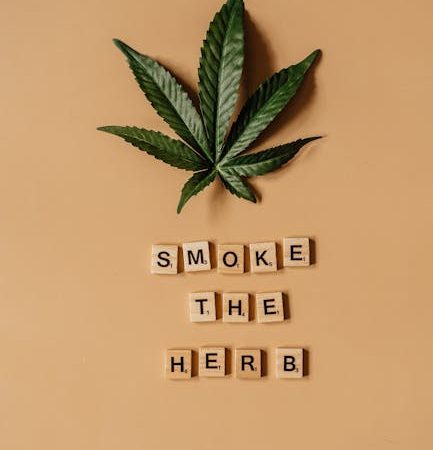 Семена марихуаны в Иркутске: законодательные аспекты и использование