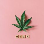 Семена конопли Alpujarrena feminised от Pyramid Seeds image_418.jpg