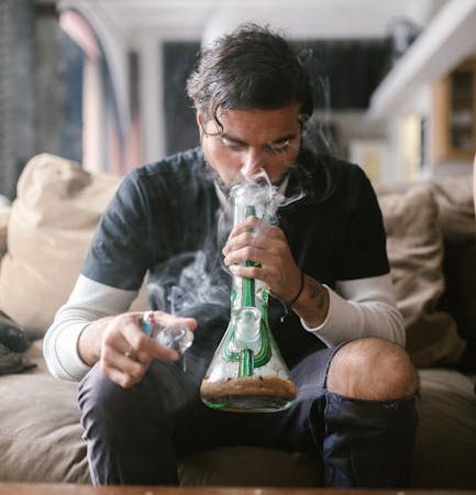 Семена сортовой марихуаны что нужно знать коноплеводам