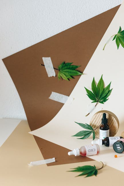 Когда конопля дает семена и как правильно собирать и хранить их