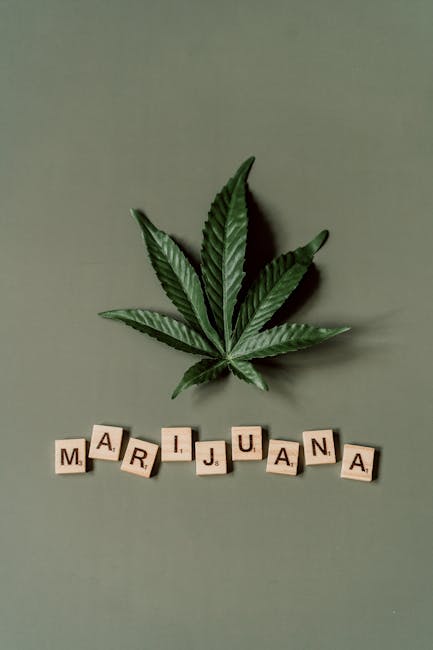 Очищенные семена конопли питательная ценность и применение