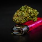 Заказ семян конопли на форуме: преимущества и недостатки image_554.jpg