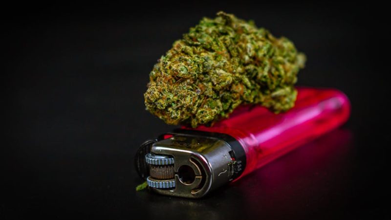 Заказ семян конопли на форуме: преимущества и недостатки