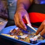 Семена конопли New York Power Diesel feminised от Nirvana Seeds image_66.jpg