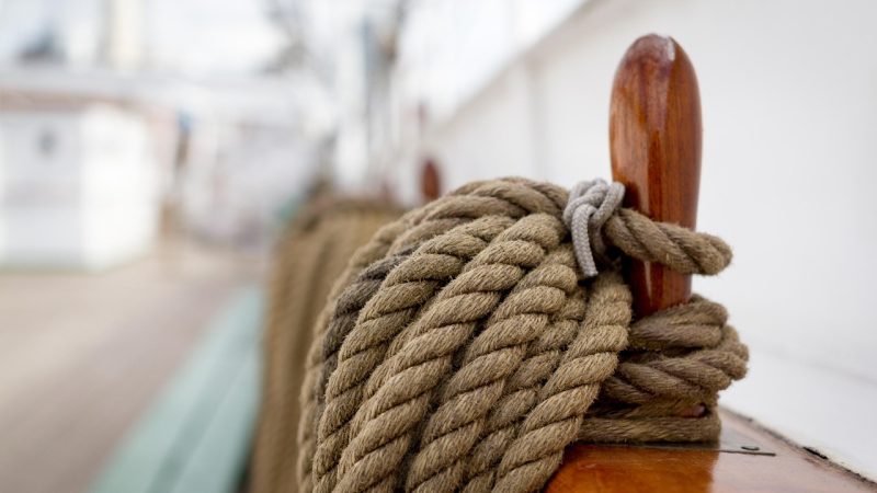 Семена конопли Papaya Feminised от Nirvana Seeds