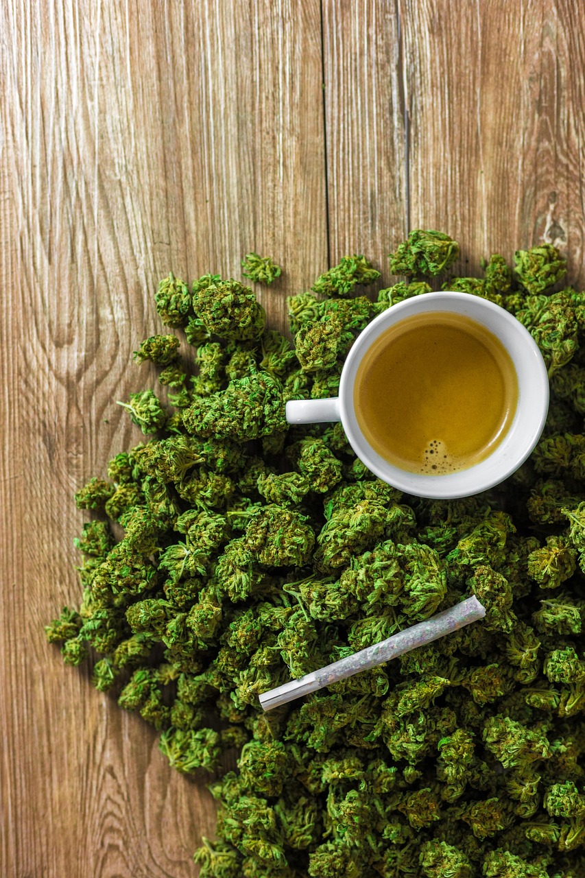 Законодательство о семенах конопли