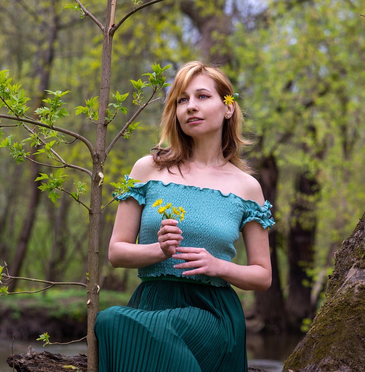 Семена конопли Northern Lights x Skunk feminised от Ganja Seeds