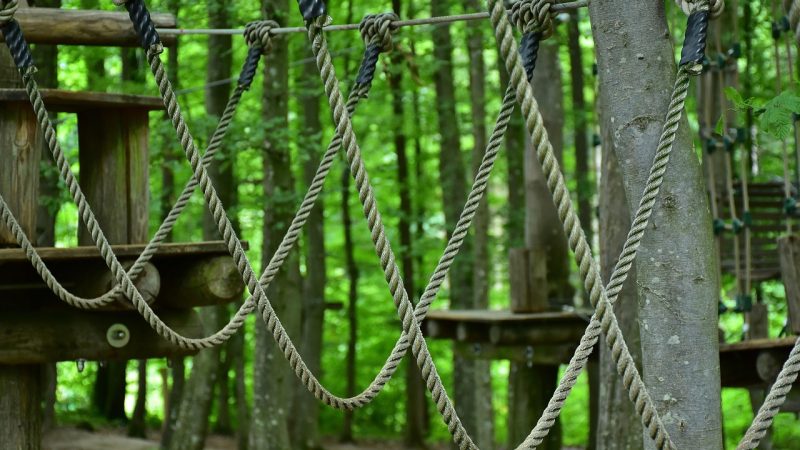 Семена конопли польза и применение