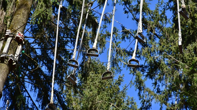 Сырые семена конопли питательная ценность и польза для здоровья