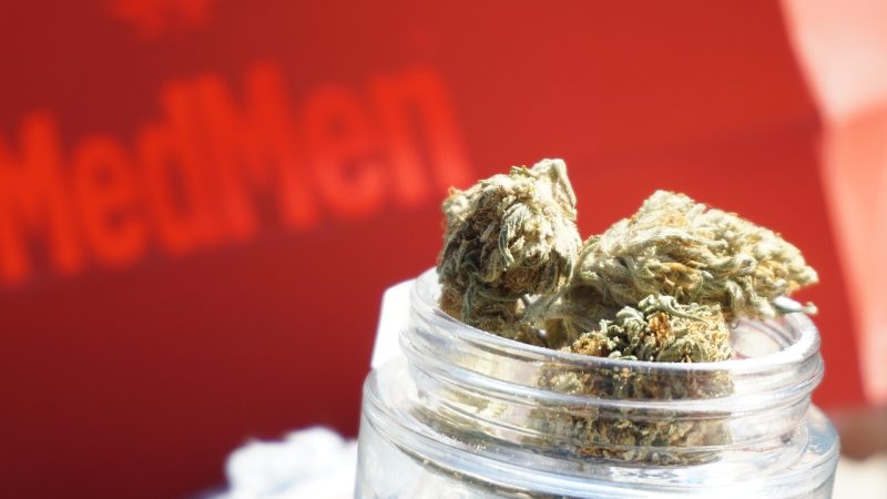 Полезные свойства и применение семян конопли